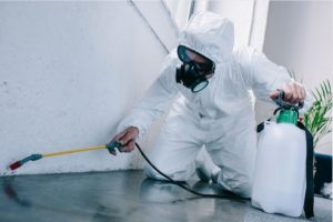 Pest control