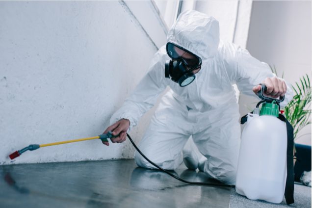 Pest control