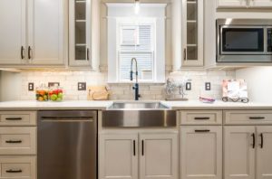 get rid of bugs in the kitchen cabinets