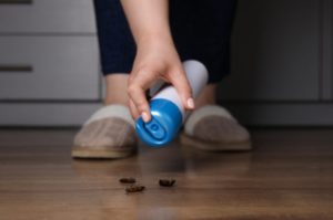 DIY pest control