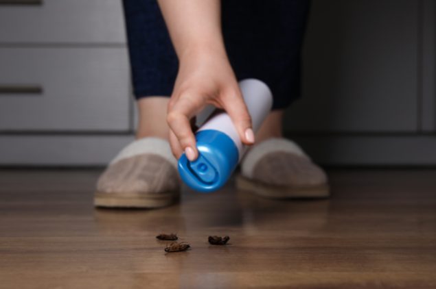 DIY pest control