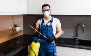 Professional pest control
