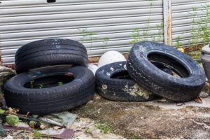 Mosquito breeding sites