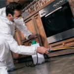 Pest control mistakes