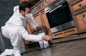 Pest control mistakes