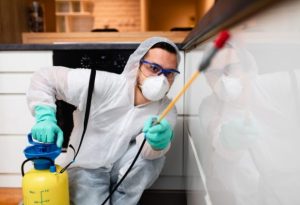 Pest control company in Singapore