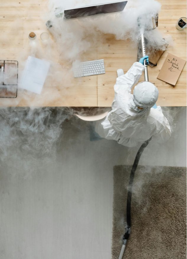 Professional fumigation services