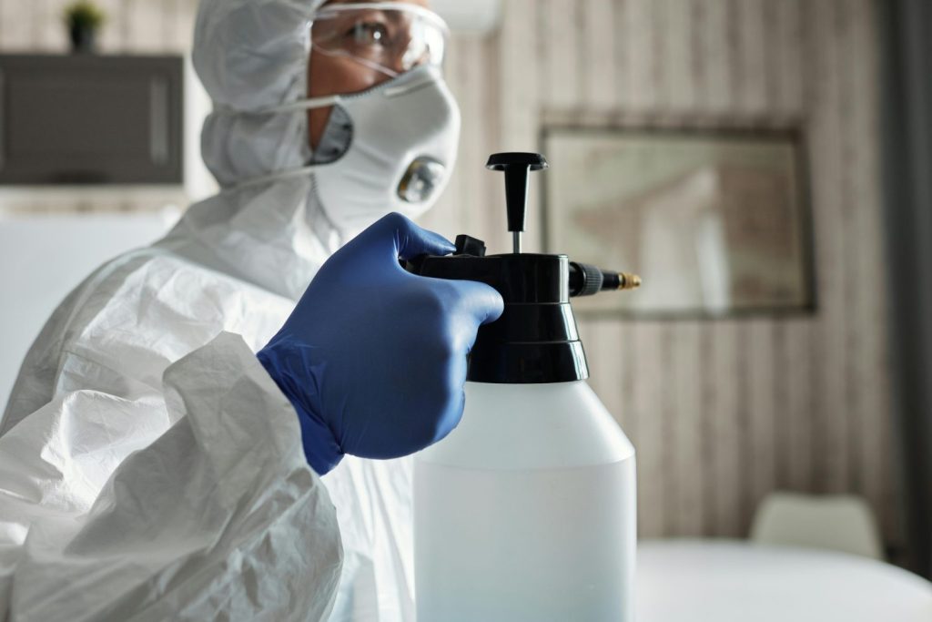 Pest control services in Singapore