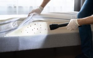 Bed bug infestations