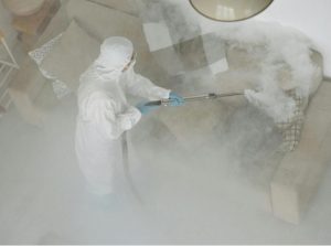 Quarterly pest control