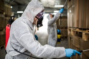 Destructive Pests