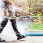 Pest control methods