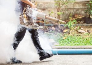 Pest control methods