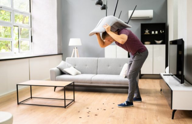 DIY pest control