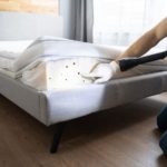Bed Bug Infestation