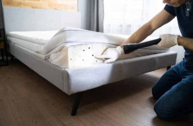 Bed Bug Infestation