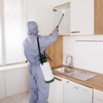 Quarterly pest control