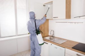 Quarterly pest control