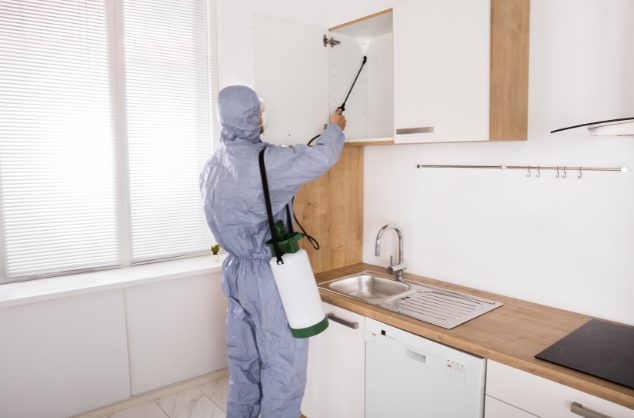 Quarterly pest control