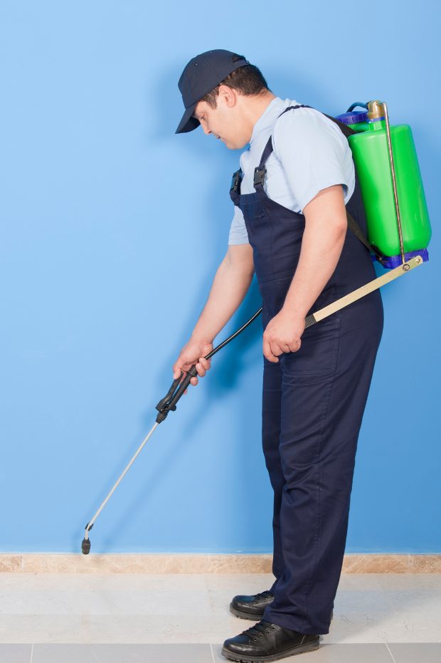 Professional pest control
