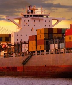Pest control for vessels in Singapore